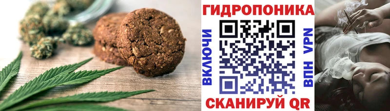 Canna-Cookies марихуана hydra ссылки мориарти как зайти Тайшет